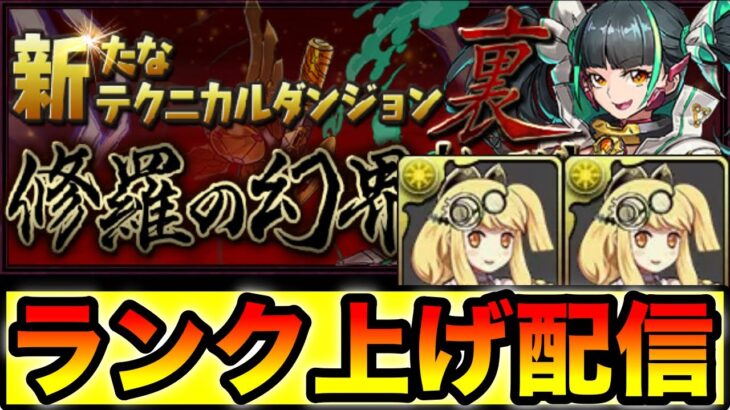 パズドラ配信　ランク1100目指して周回