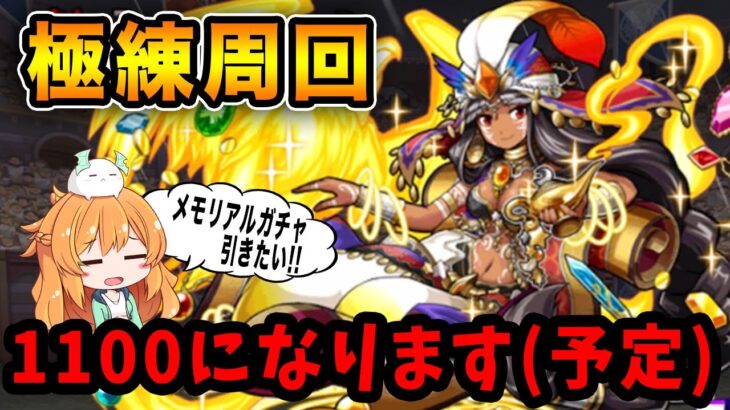 ランク1100メモリアルガチャに向けてランク上げをしたい!!!!!!!【パズドラ】