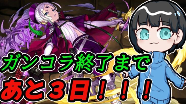 【パズドラ】ガンコラ初級を鬼周回してピィ乱獲しまくるぞ！！！！！ダンボ17スキルポチポチ編成最高！！！！！