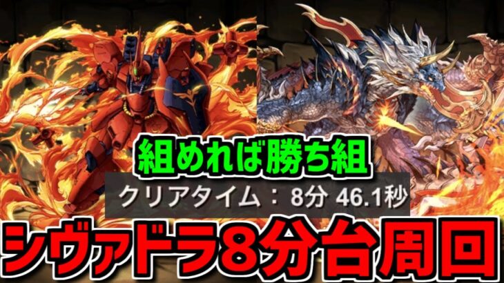 1周8分台！シヴァドラ編成でガンダムコロシアム周回！激ウマ報酬確定！やらないと損！【パズドラ】