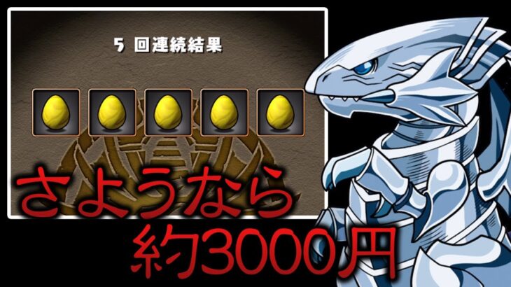 【☆7はハズレ】久々の遊戯王コラボガチャがめちゃ渋かった件【パズドラ】