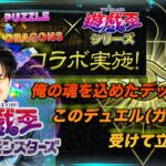 【無課金パズドラ】大好きな遊戯王コラボガチャをデュエリスト気分で引いていくー！【しばいぬ丸＃90】