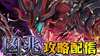 【パズドラ】パズドラ女子による凶兆チャレンジ攻略配信！！【初見さん大歓迎】