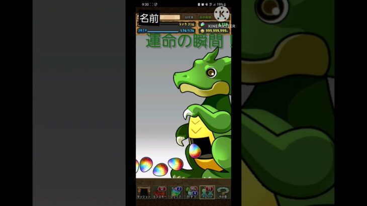 「パズドラ」ログボの10連ガチャ　ノエル来い！