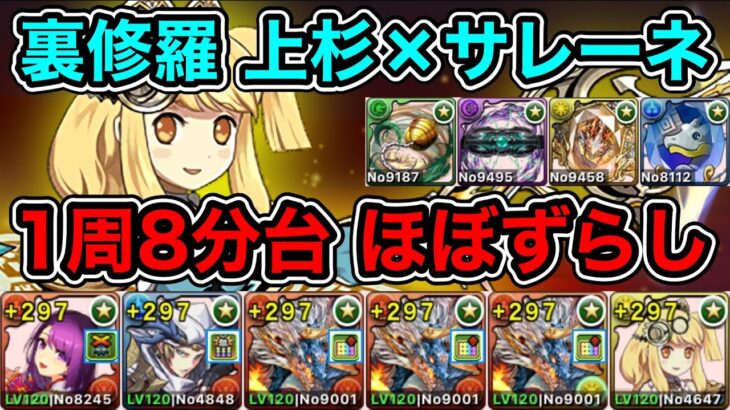 【パズドラ】1パターン目！裏修羅の幻界！上杉×サレーネ！1周8分台！ほぼずらし！シヴァドラループで爆速ランク上げ周回！【2周分】【概要欄に立ち回りなど記載】