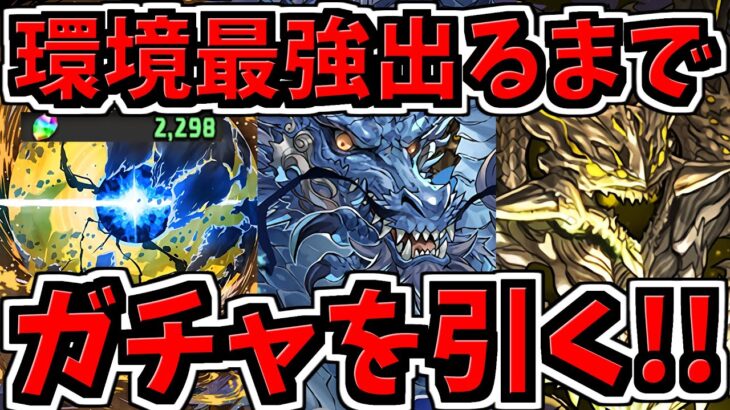 【魔法石2000個】環境最強出るまでガチャ引く！アグリゲート欲しすぎる！【パズドラ】