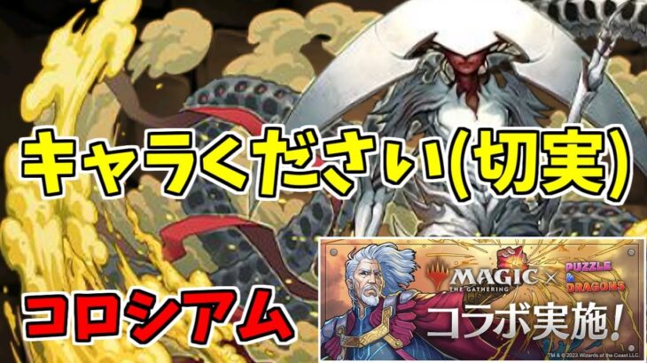 【MTGコロシアム】エリシュノーン～今回の内容は楽で良いね！～【パズドラ実況】