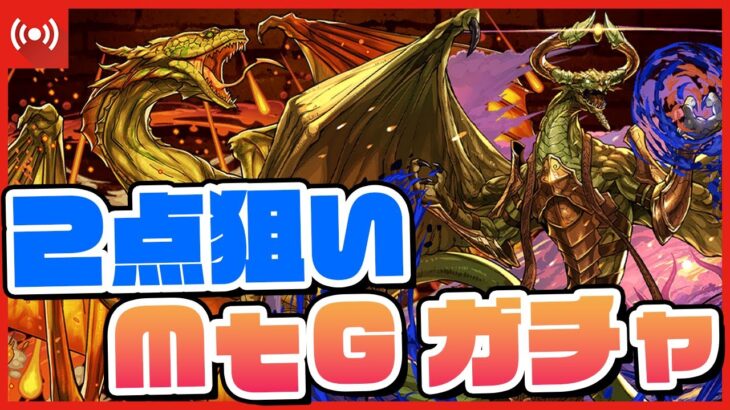 【パズドラドラゴン縛り】シヴ山＆ニコル２点狙いのMtGガチャ行くぞ！！！！