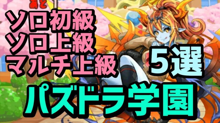 パズドラ学園 上級周回パ＆初級ポチポチパ×５編成！ソロとマルチの厳選チームを紹介