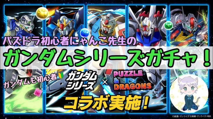 【パズドラ】『ガンダムシリーズガチャ』パズドラもガンダムも初心者にゃんこ先生の2年ぶりパズドラ動画！