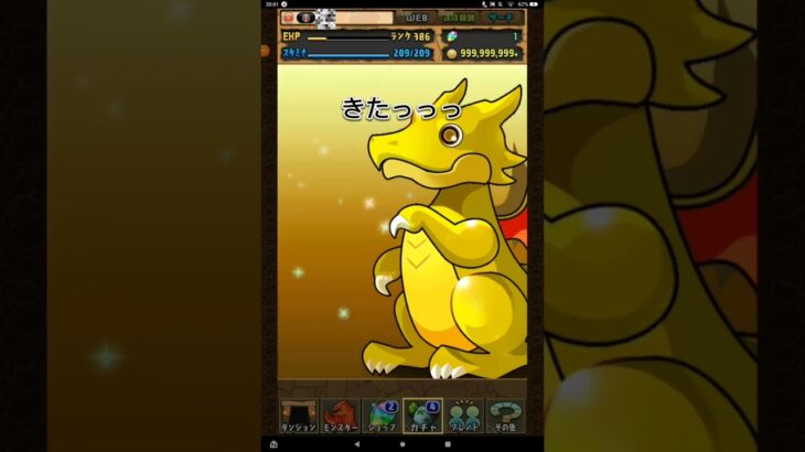 いいの来てくれ…　part１　#パズドラ　#ガチャ