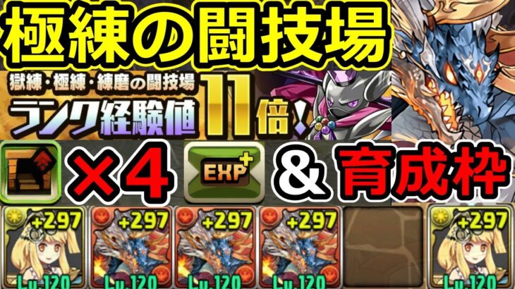 【極練の闘技場】サレサレシヴァドラで周回！育成枠自由！【パズドラ】