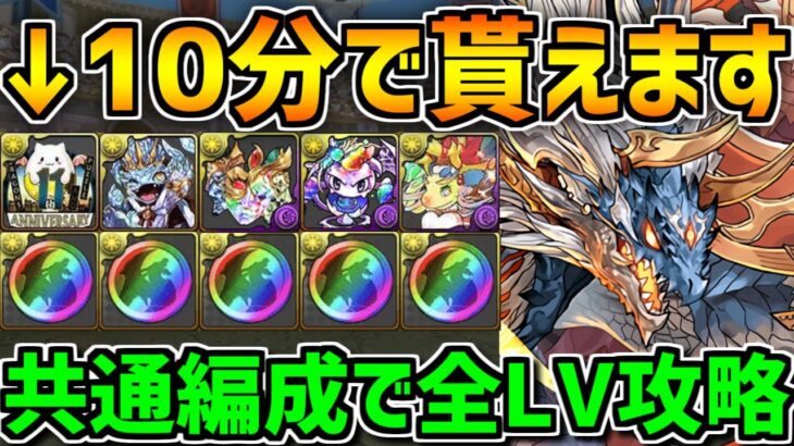 10分で魔法石&黒メダル&豪華報酬ゲット！このイベントはやらないと損！虹メダルチャレンジ共通編成！【パズドラ】