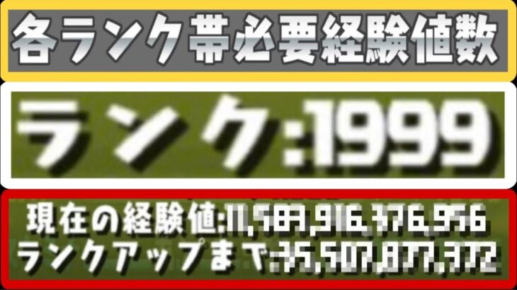 1999 ⁈ ランク上げの裏側がエグすぎる…【パズドラ】