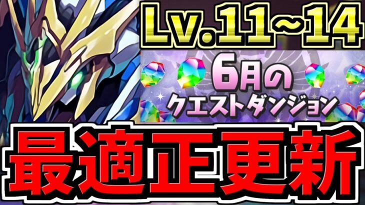 【最適正更新】共通編成！6月のクエストダンジョン11,12,13,14！ロイヤルノーチラス！代用・立ち回り解説！6月クエスト14,6月クエスト13,6月クエスト12,6月クエスト11【パズドラ】