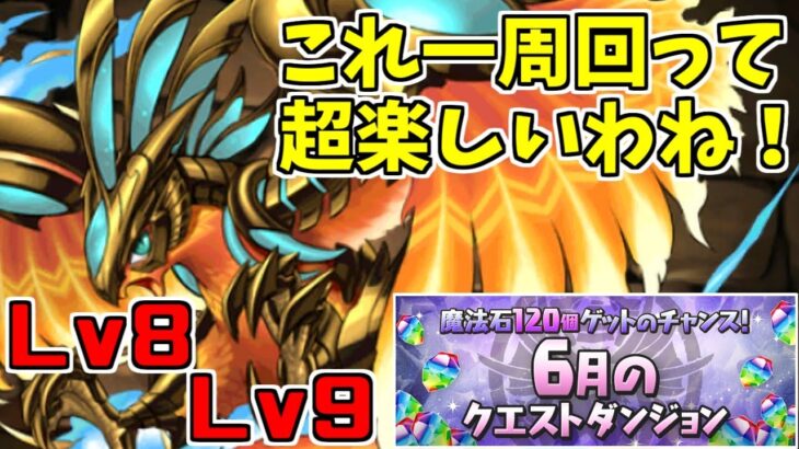 【6月クエスト2023】Lv8Lv9-固定チーム～たまにならこういうパズドラしたい～【パズドラ実況】