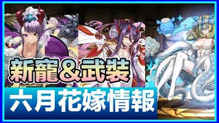 PAD パズドラ 六月花嫁情報 花嫁海魔女 ！武裝good!濃姬80%盾 !