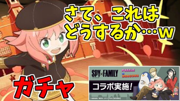 【SPY×FAMILYコラボ】ガチャ～壮絶なサムネ争いの勝者～【パズドラ実況】