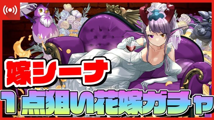 【パズドラドラゴン縛り】花嫁ガチャ開幕！シーナ一点狙いでガチャを引く！！