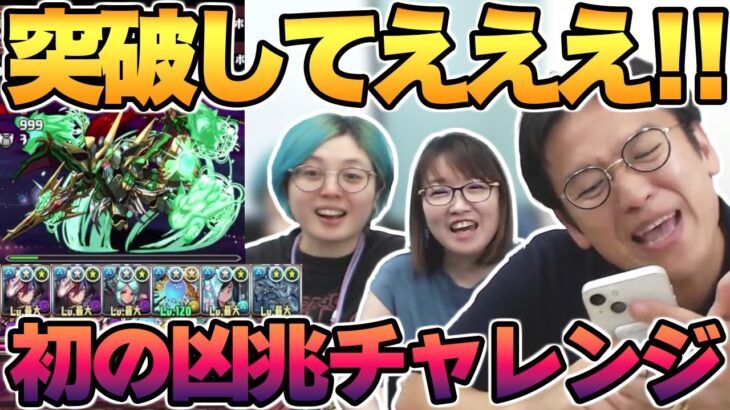 【パズドラ攻略】クロトビ×グランエルヴPTなら潰滅の兆龍もクリアできる!?【凶兆チャレンジ】