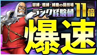 【極練経験値11倍】来るランク上げイベントに備えよう！JP爆速周回編成！【パズドラ】