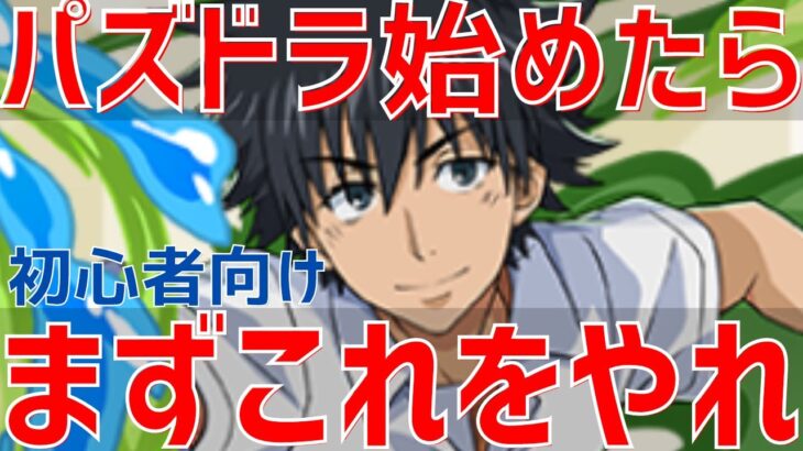 【パズドラ】○○だけは絶対やれ！初心者が最初にやるべきこと5選2023年9月Version【電撃文庫コラボ】