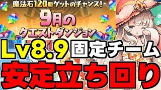 【9月のクエスト】Lv8.9固定チーム！ド安定立ち回り解説！【パズドラ】