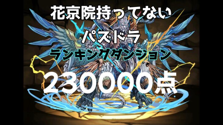 パズドラ ランキングダンジョン【シェリアス杯】花京院なんて居無い。