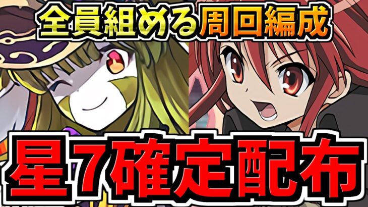 【星7確定配布】誰でも組める！リンシア降臨周回！シャナ編成！代用・立ち回り解説！ガチャ引かなくても周回できます！【パズドラ】