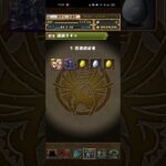 FFコラボガチャ回してみた④【パズドラ】【FFコラボ】