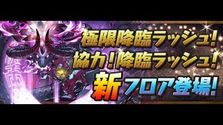 【パズドラ】百花繚乱５マルチ