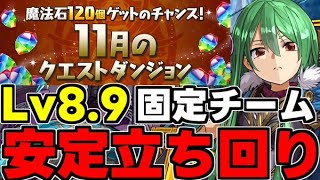 【11月のクエスト】Lv8.9固定チーム！ド安定立ち回り解説！【パズドラ】