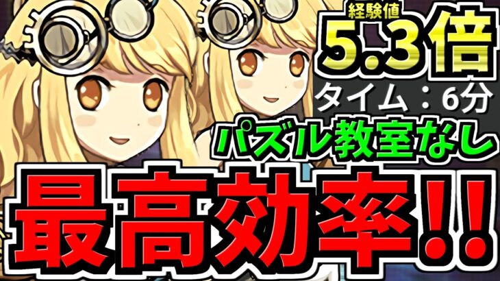 【最高効率】経験値5.3倍！両サレ裏修羅！パズル教室なし 6-8分台！ランク上げ編成！代用・立ち回り解説！サレサレ裏修羅！【パズドラ】