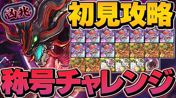 【初見攻略】クロトビで裏凶兆チャレンジクリア！ユキネ&キョウリなし編成でも勝てます！【パズドラ】