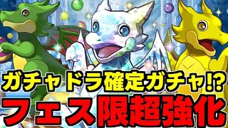 【フェス限大幅強化】ガチャドラ確定ガチャが実装!?フェス限も大幅強化で強キャラ多数！使い道＆性能完全解説！【パズドラ】