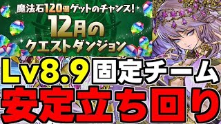 【12月のクエスト】Lv8.9固定チーム！安定立ち回り解説！【パズドラ】