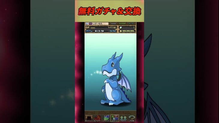 【無課金パズドラ】ガチャ引いた後にあの方を【しばいぬ丸＃188】 #パズドラ #無課金 #ゆう