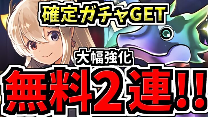 【無料ガチャ2連配布】確定ガチャも！環境最強アイドルシリーズが大幅強化！年末年始スーパーゴッドフェス性能解説【パズドラ】