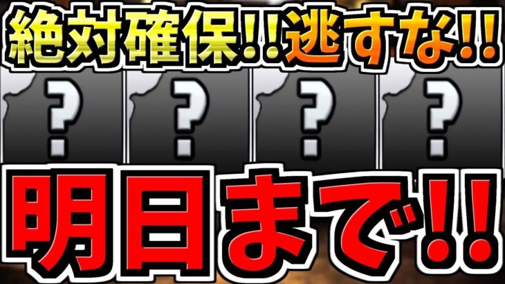 【明日まで】絶対逃すな！無料ガチャ2連＆確保必須キャラ4体を解説！逃して後悔しないように！【パズドラ】