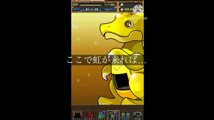 【パズドラ】式神ガチャ5日目　#パズドラガチャ