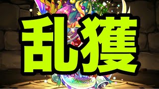 イベント期間中にスパノエを乱獲しよう！クリスマス【パズドラ】