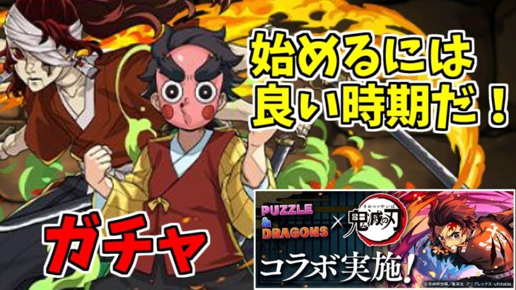 【鬼滅の刃コラボ】ガチャ～新キャラ沢山で楽しい！～【パズドラ実況】