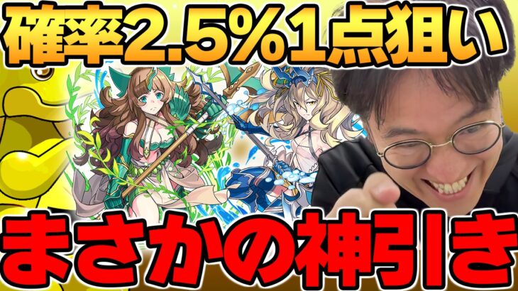 【パズドラ】新キャラ「リューネ＆シルヴィ」1点狙いでスーパードラゴンフェスした結果！！