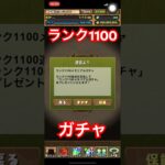 【パズドラ】ランク1100ガチャ