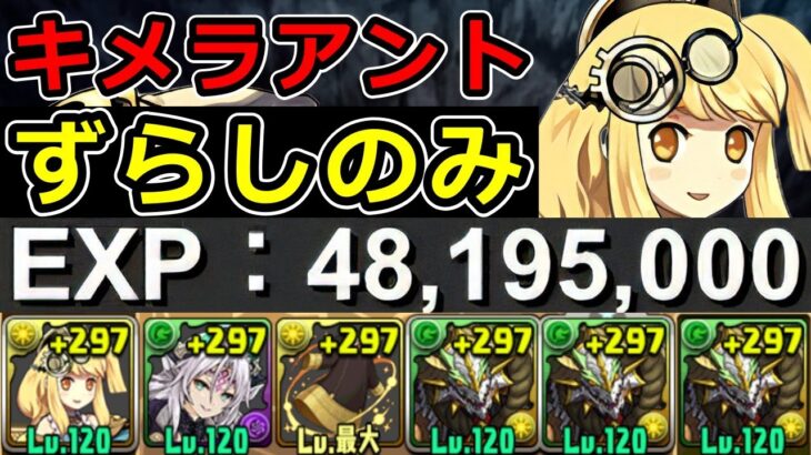 【爆速ランク上げ】片サレノルディスでキメラアントを周回！1周約2分半【パズドラ】