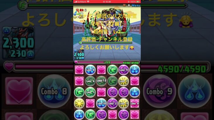 #パズドラ #超根性レベル2