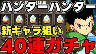 【ガチャ動画】新キャラ狙いで40連ガチャ！星7率高め？【パズドラ】