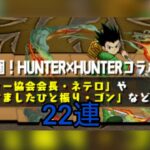 【パズドラ】HUNTER × HUNTERコラボガチャ！ （22連）