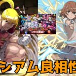 【パズドラガチャ】HUNTER×HUNTERコロシアムに御坂美琴とビスケで周回パーティー組んでみた！