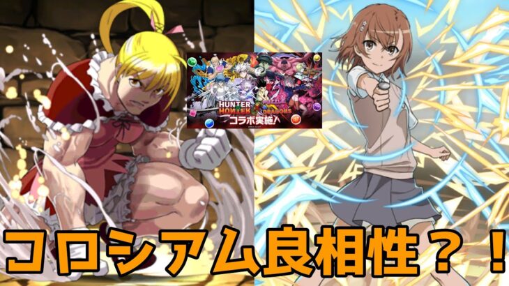 【パズドラガチャ】HUNTER×HUNTERコロシアムに御坂美琴とビスケで周回パーティー組んでみた！